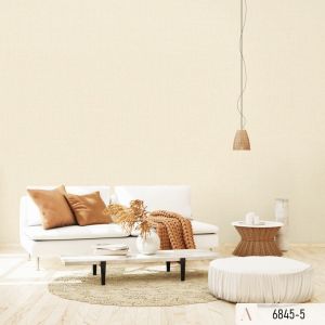 Giấy dán tường Albany mã 6845-5